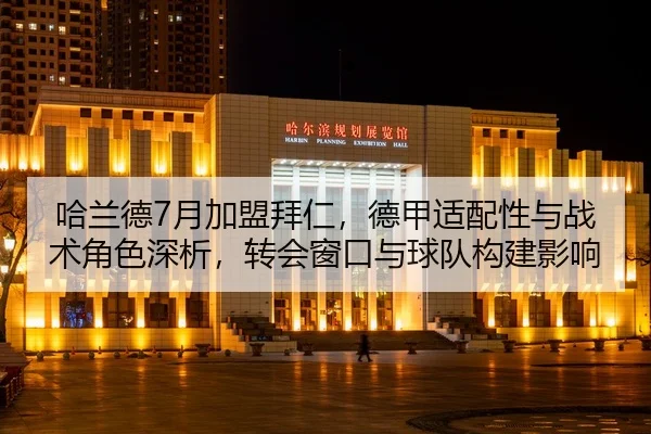 ha-lan-de-yue-jia-meng-bai-ren-de-jia-shi-pei-xing-yu-zhan-shu-jue-se-shen-xi-zhuan-hui-chuang-kou-yu-qiu-dui-gou-jian-2-121.jpg